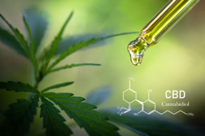 The Latest Trend in CBD: Exploring the Benefits of CBD Cubes